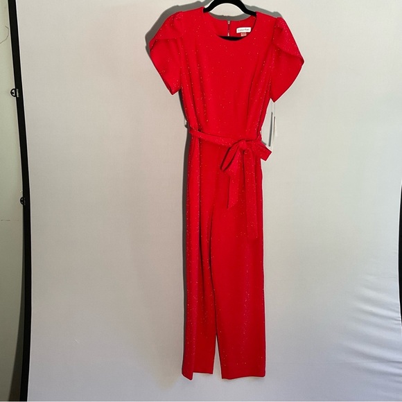 Calvin Klein Sz 10 Vibrant Red Slinky, Sparkly Jumpsuit, Zippered Back, Tie Belt - Picture 13 of 16